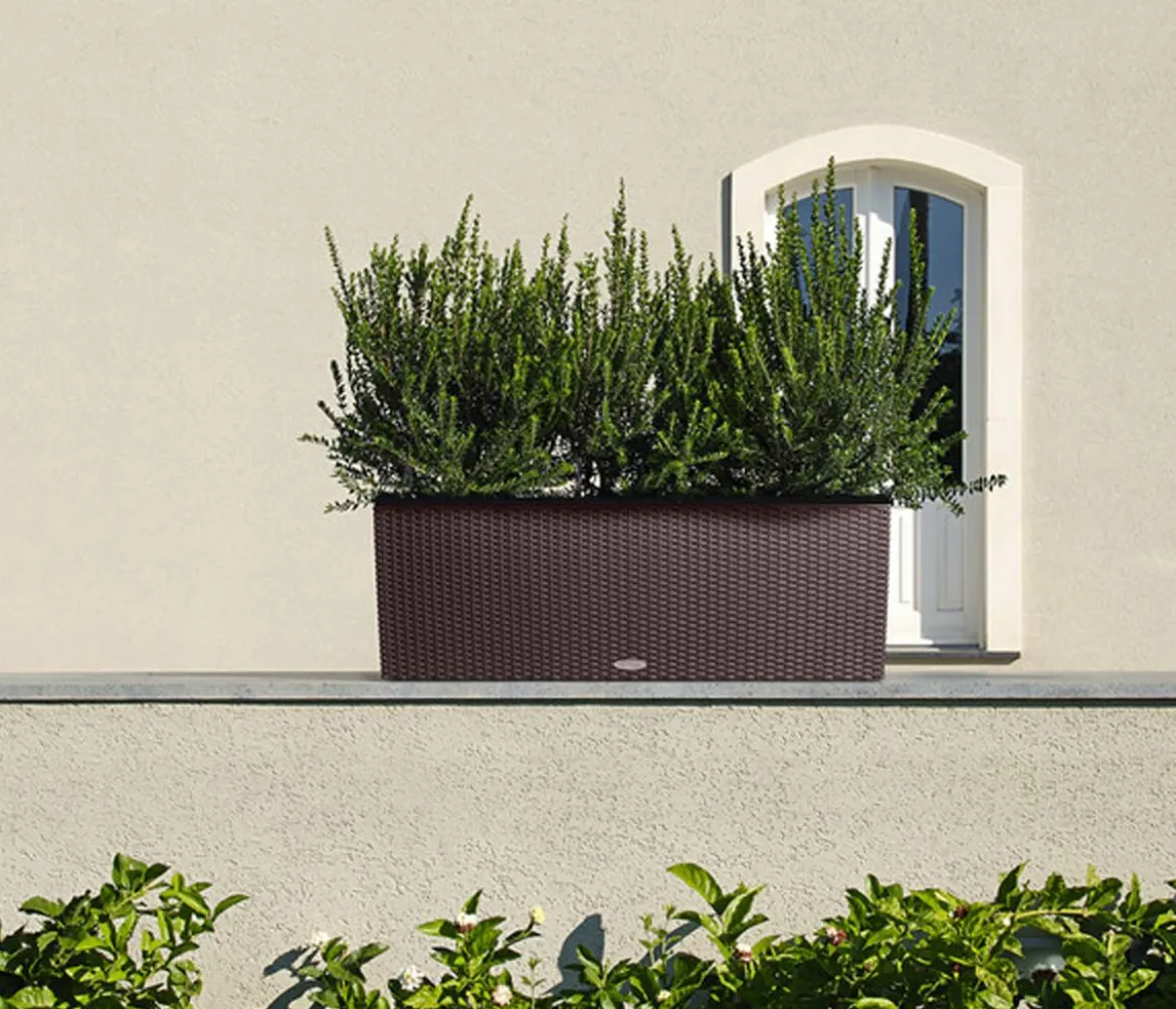 LECHUZA® Polyrattan-Kasten Trio Cottage, rechteckig