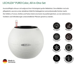 LECHUZA® PURO Color, All-in-One-Set, inkl. Makramee-Aufhängung