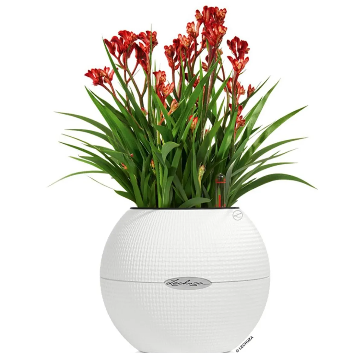 LECHUZA® PURO Color, All-in-One-Set, rund, ca. Ø20 cm