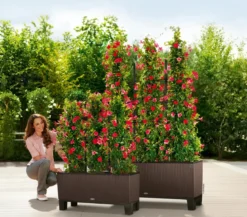 LECHUZA® Trio Cottage Rankgitter, schwarz, ca. B113/H170 cm