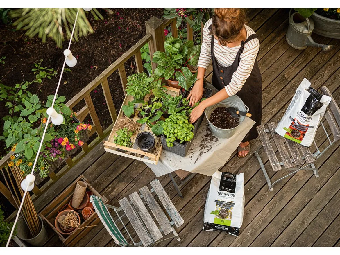LECHUZA® VEGGIEPON Gemüsepflanzsubstrat