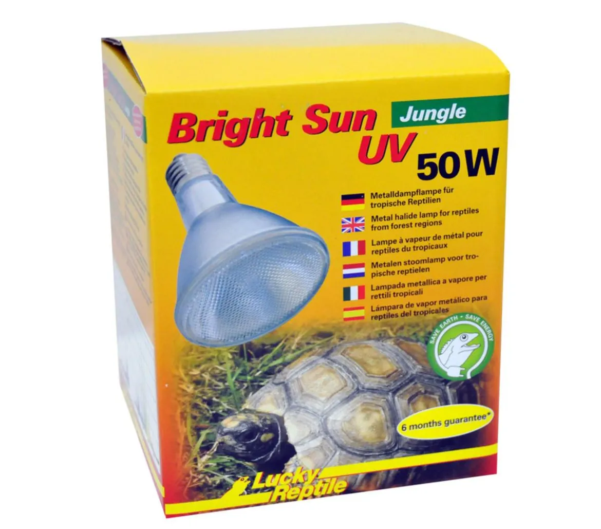 Lucky Reptile Bright Sun UV Jungle