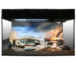 Lucky Reptile Starter Kit Komplettset Bartagame, ca. B80/H52/T40 cm