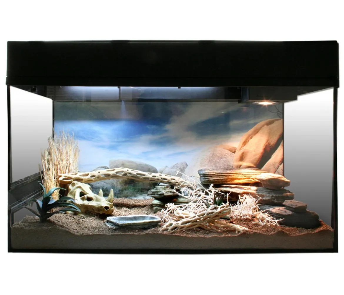 Lucky Reptile Starter Kit Komplettset Bartagame, ca. B80/H52/T40 cm