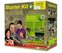 Lucky Reptile Starter Kit Komplettset Spinnen/Skorpione, ca. B50/H40/28 cm