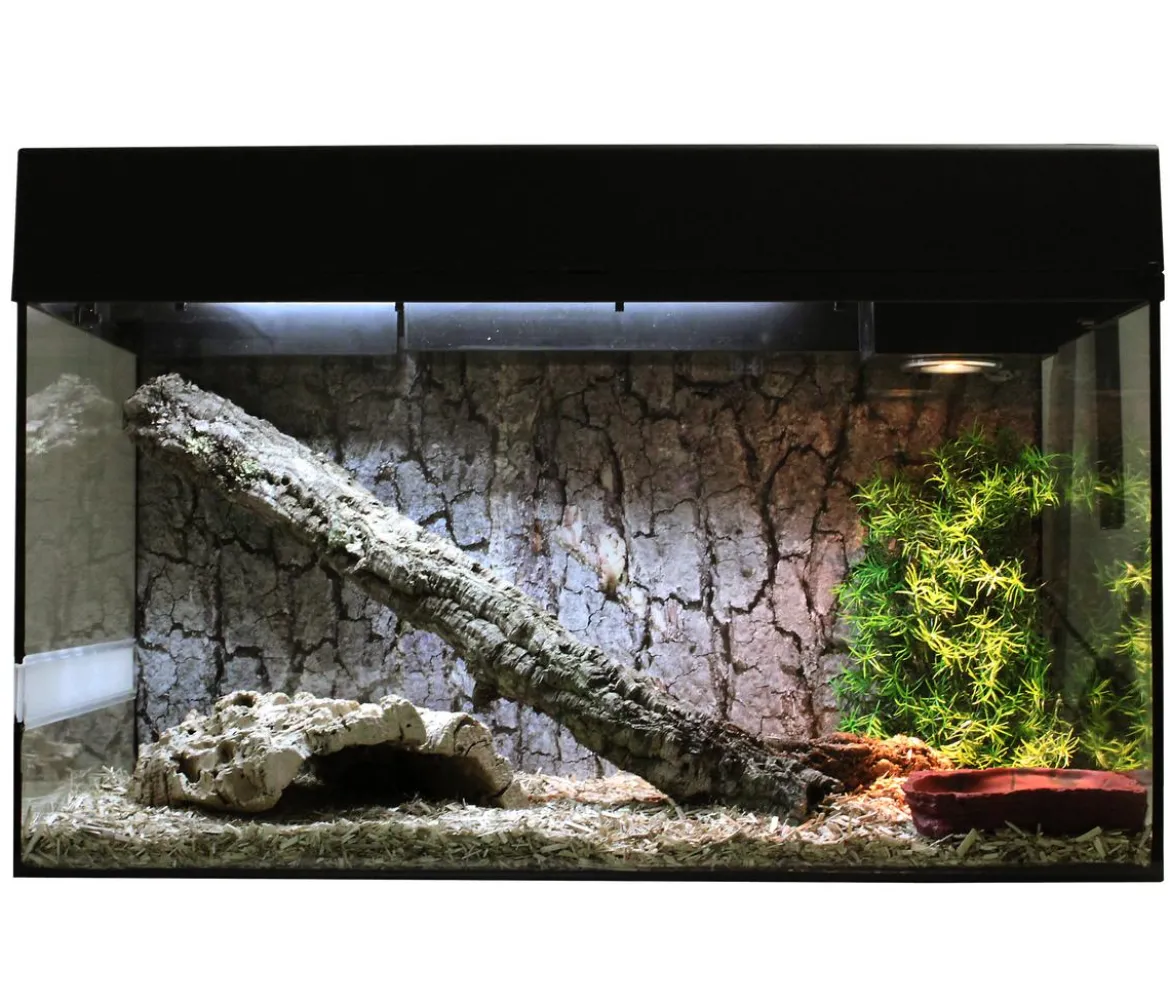 Lucky Reptile Terrarium Starter Kit Komplettset Schlangen