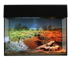 Lucky Reptile Terrarium Starter Kit Wüstengecko, ca. B50/H40/T28 cm