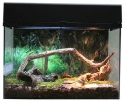 Lucky Reptile Terrarium Starter Kit Wüstengecko, ca. B50/H40/T28 cm