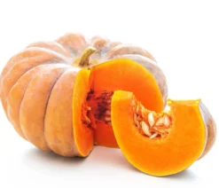 Mini Muskat-Kürbis