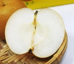 Nashi-Birne 'Nijiseiki'
