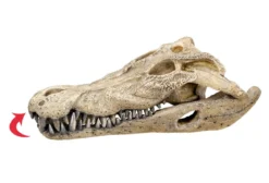 Nobby Aquariumdeko Krokodil Schädel, ca. B26/H9/T14 cm