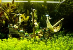 Nobby Aquariumdeko Schiff, ca. B33/H23/T13 cm