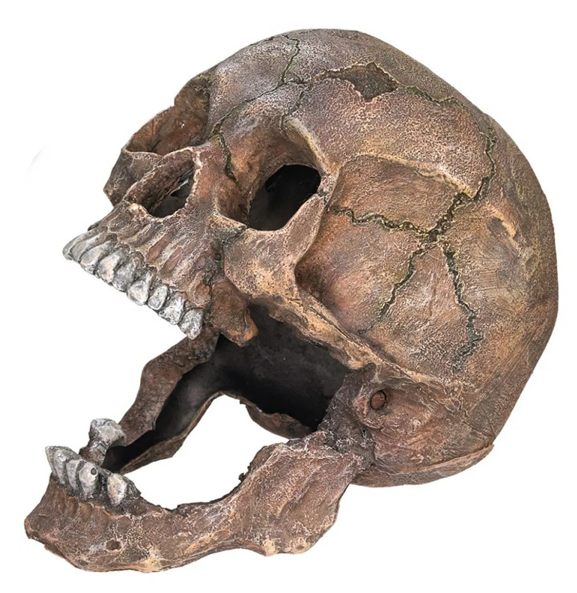 Nobby Aquariumdeko Totenkopf, ca. B20/H16,5/T13,5 cm