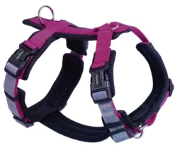 Nobby Hundegeschirr Daily Walk Comfort