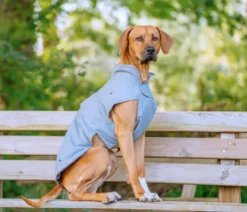 Nobby Hundemantel Sela, grau
