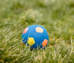 Nobby Hundespielzeug Latex-Fußball farblich sortiert, ca. Ø12 cm