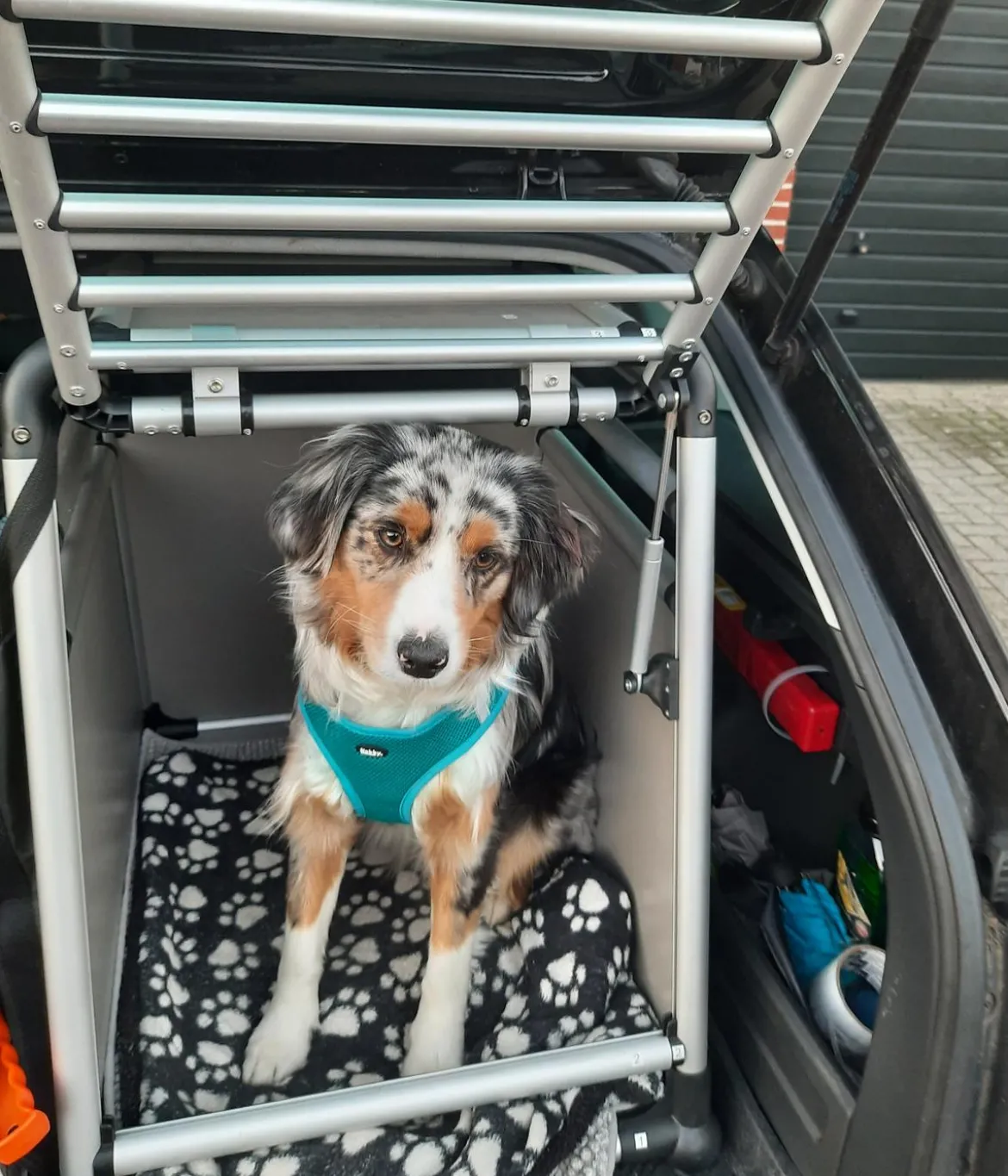 Nobby Hundetransportbox Round Corner