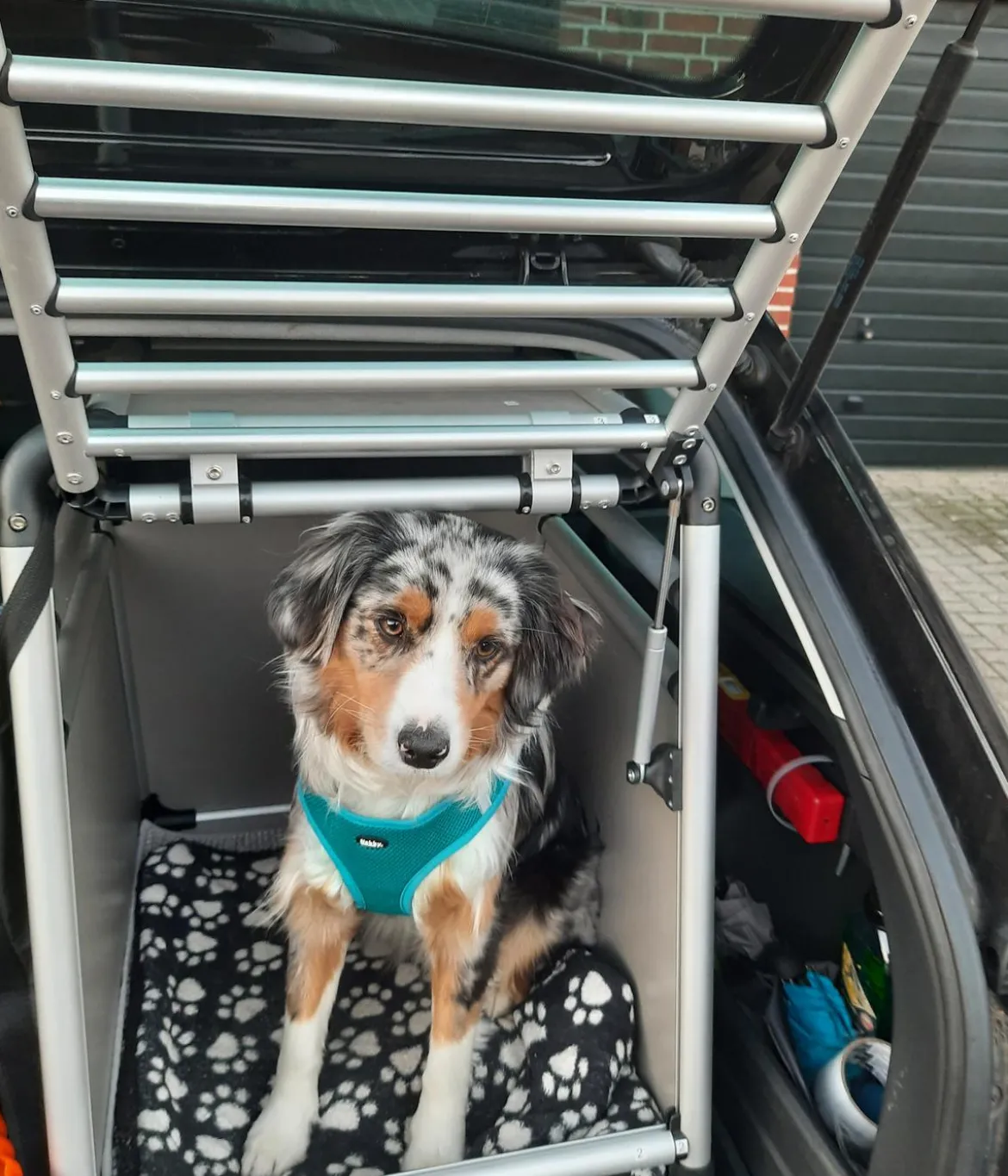 Nobby Hundetransportbox Round Corner
