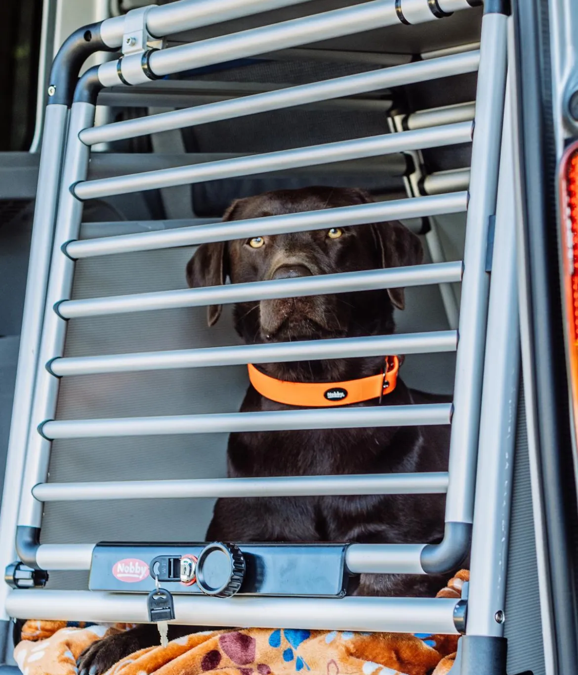 Nobby Hundetransportbox Round Corner