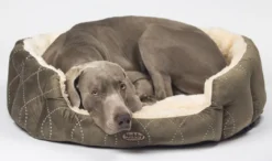 Nobby Komfortbett Ceno, oval