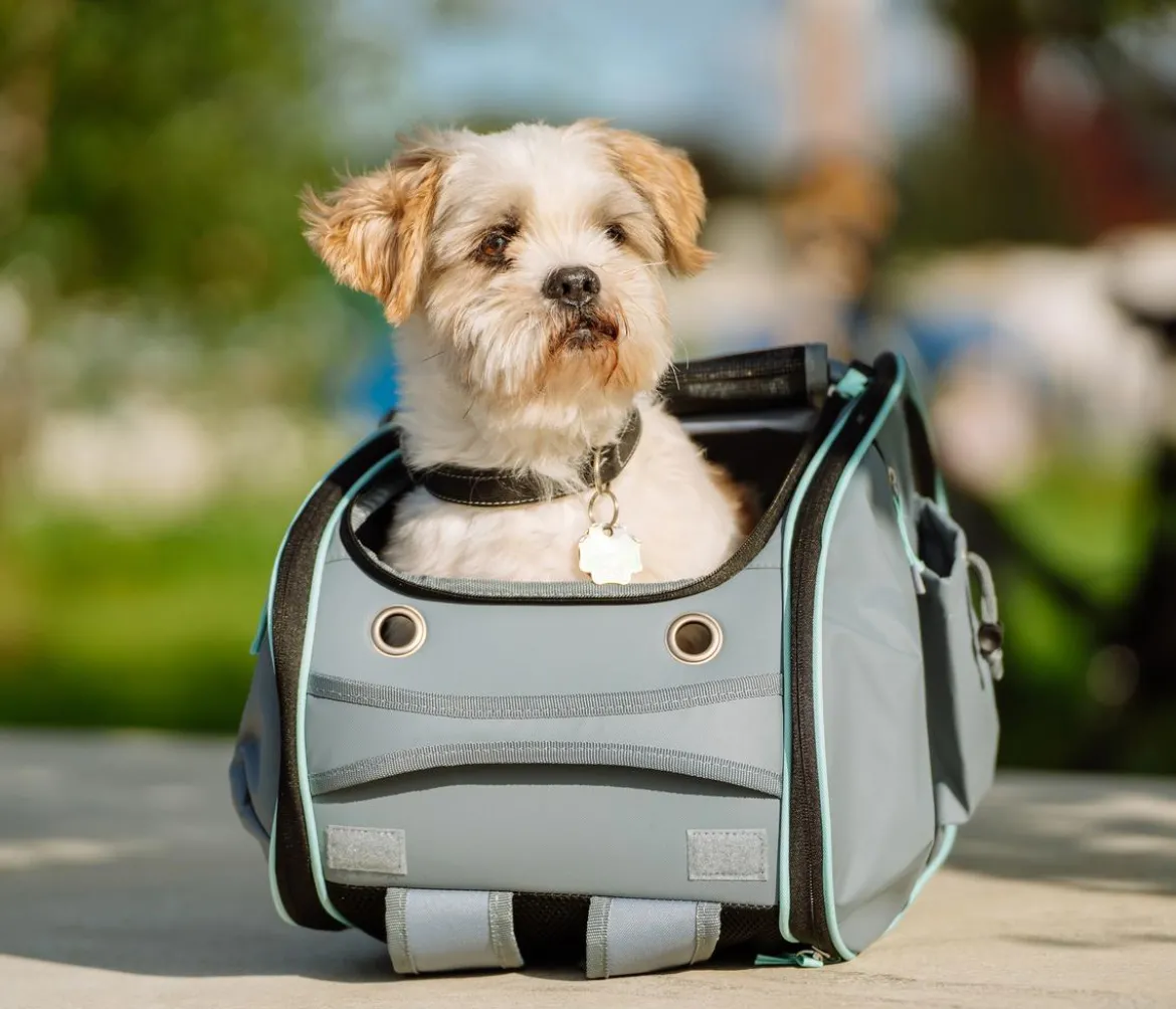 Nobby Multifunktions-Rucksack Nomad, ca. B26/H27/T45 cm