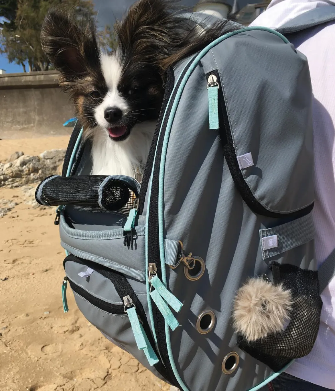 Nobby Multifunktions-Rucksack Nomad, ca. B26/H27/T45 cm