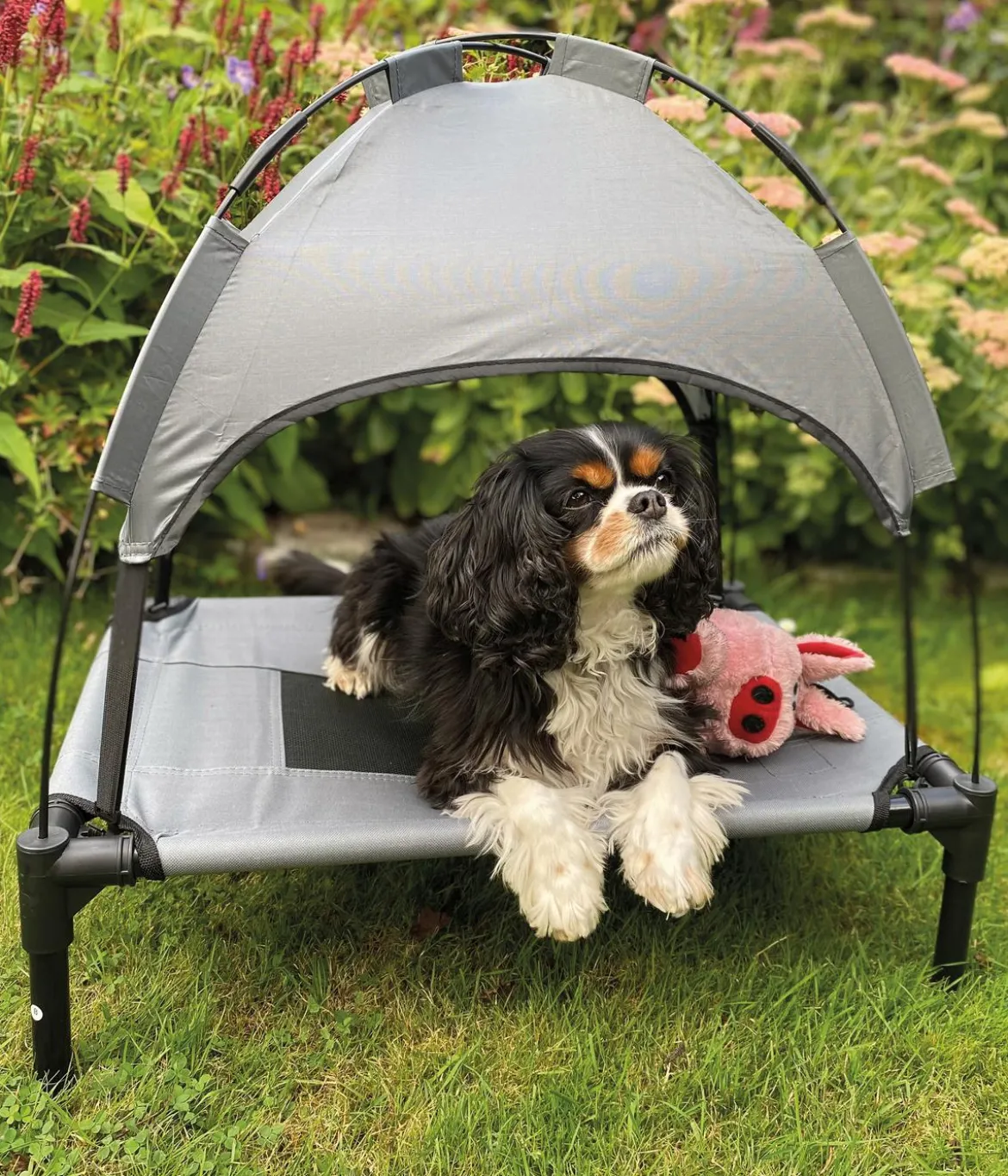 Nobby Outdoor Hundeliege Chill Cool, grau