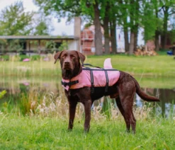 Nobby Schwimmhilfe für Hunde Sharki, pink