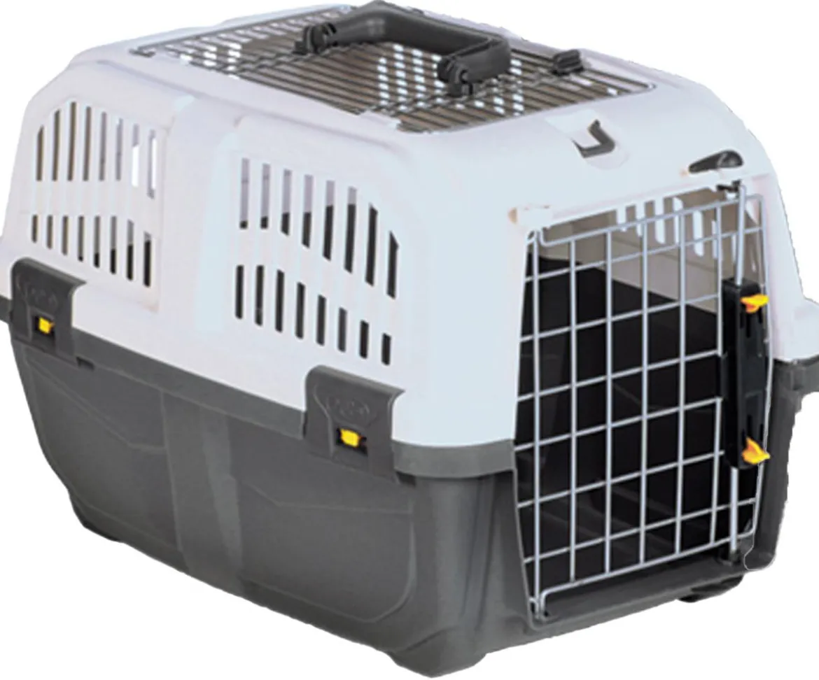 Nobby Transportbox Skudo Open, grau