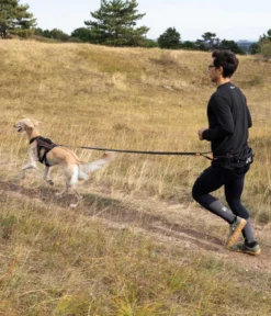 Non-stop dogwear Bauch-Laufgurt Trail light belt, schwarz