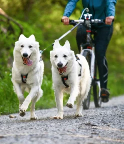 Non-stop dogwear Bikeantenne für Hundeleinen, ca. L49 cm