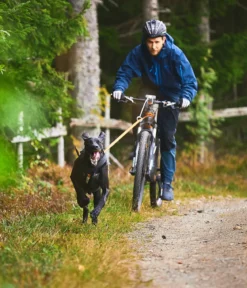 Non-stop dogwear Bikeantenne für Hundeleinen, ca. L49 cm
