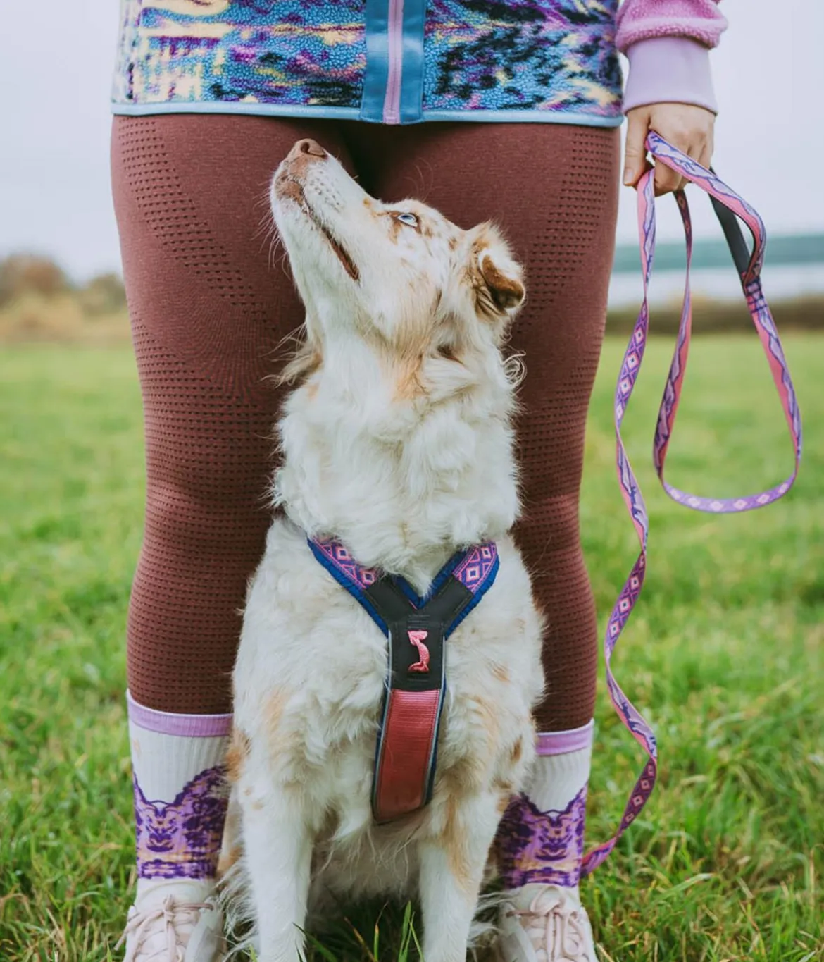 Non-stop dogwear Hundegeschirr Line Harness 5.0 Rachel Pohl Signature Edition, purple/pink