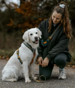 Non-stop dogwear Hundegeschirr Line Harness 5.0 Rachel Pohl Signature Edition, teal/oak