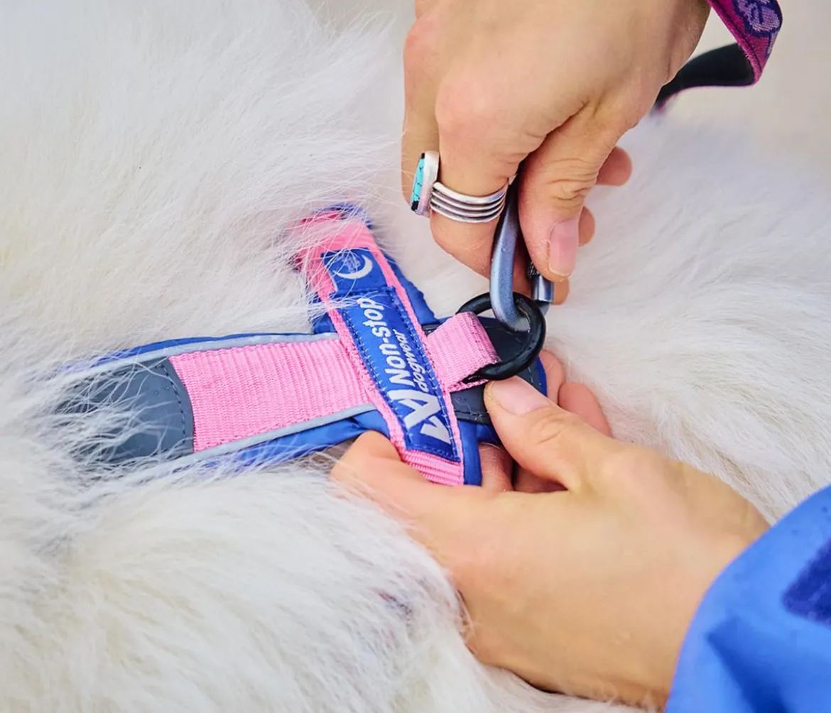 Non-stop dogwear Hundeleine Trail Quest Rachel Pohl Signature Edition, purple/pink, 2 m