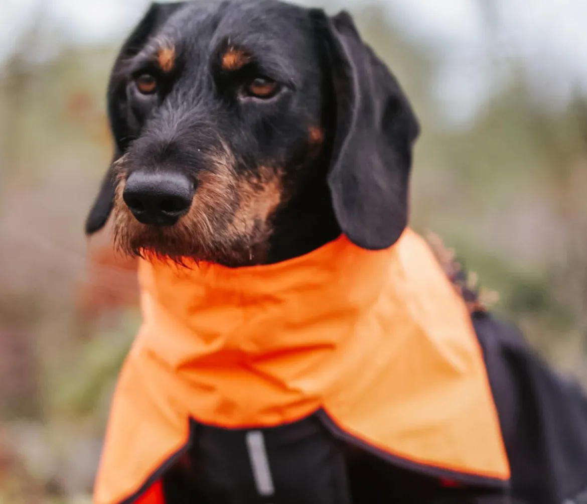 Non-stop dogwear Hunde-Regenmantel Fjord raincoat, schwarz/orange