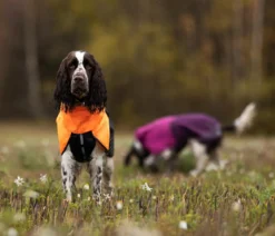 Non-stop dogwear Hunde-Regenmantel Fjord raincoat, schwarz/orange