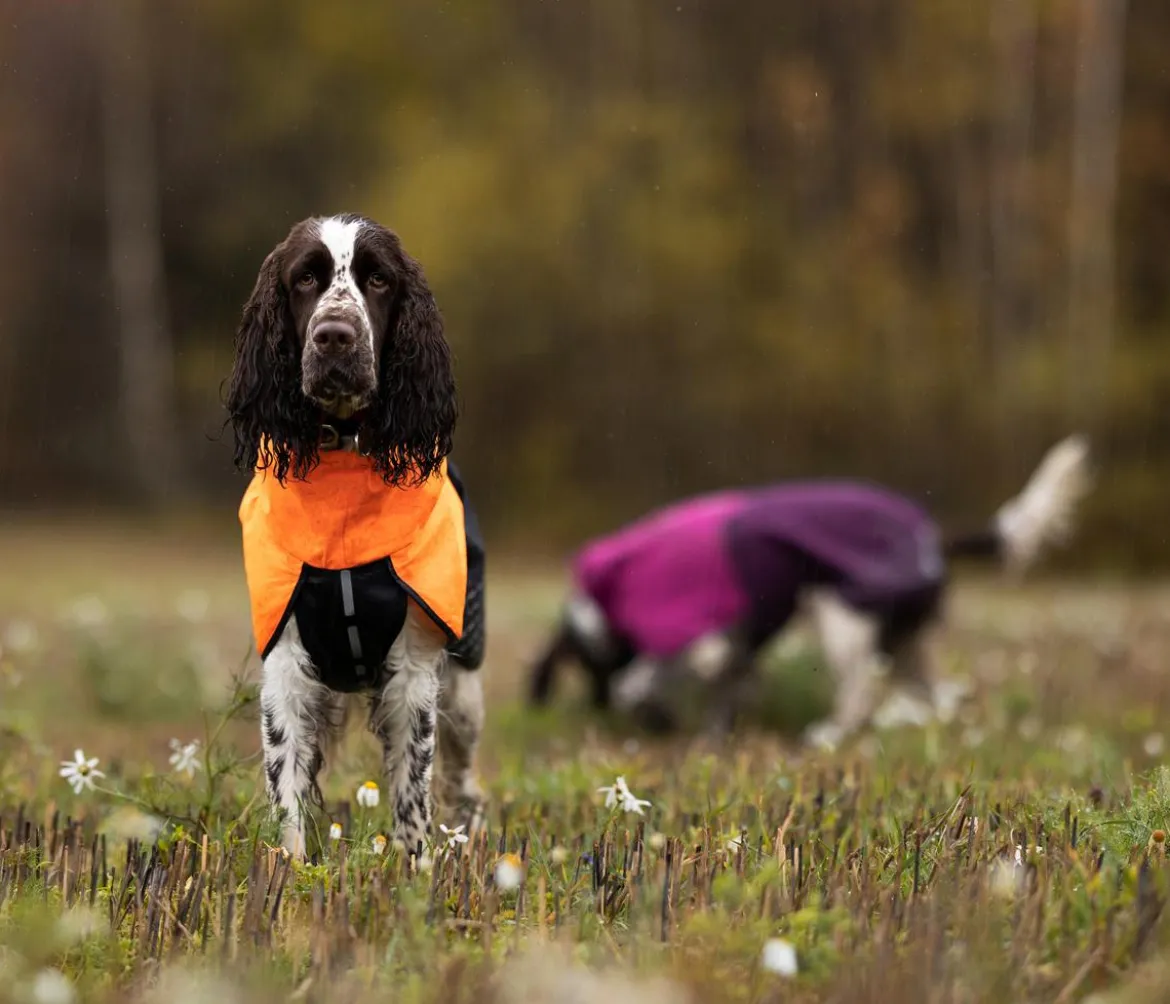 Non-stop dogwear Hunde-Regenmantel Fjord raincoat, schwarz/orange