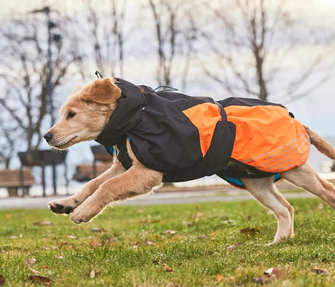 Non-stop dogwear Hunde-Wintermantel Glacier jacket 2.0, schwarz/orange