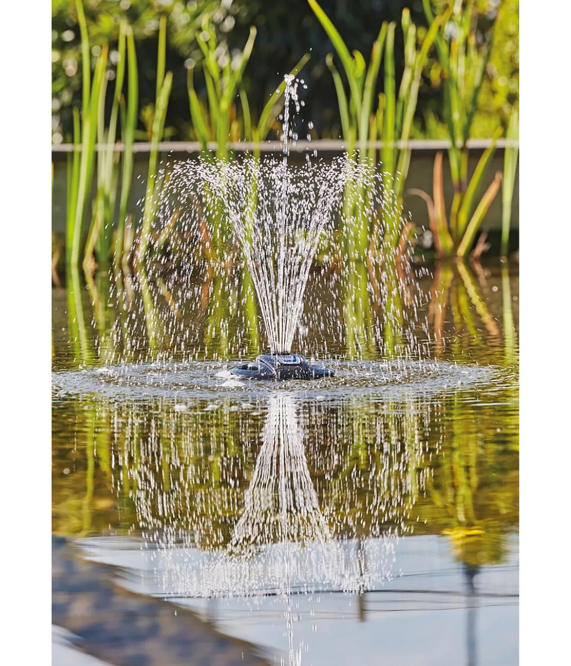 Oase Eisfreihalter Icefree 4 Seasons