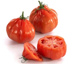 Ochsenherztomate 'Fleurette'