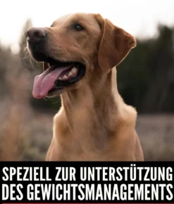 ORIJEN™ Trockenfutter für Hunde Fit & Trim