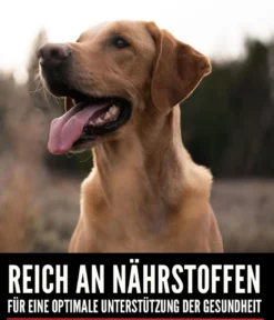 ORIJEN™ Trockenfutter für Hunde Regional Red