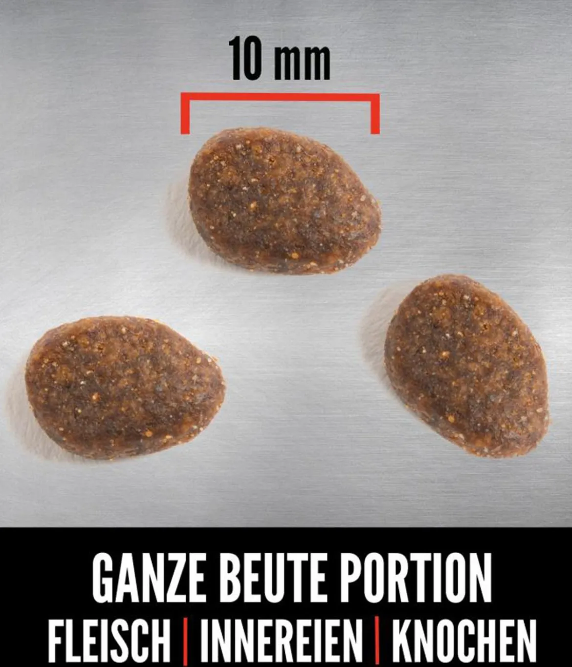ORIJEN™ Trockenfutter für Katzen Six Fish