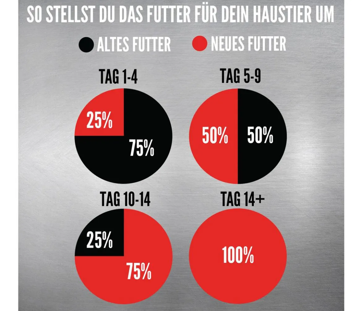 ORIJEN™ Trockenfutter für Katzen Regional Red