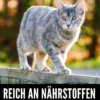 ORIJEN™ Trockenfutter für Katzen Tundra