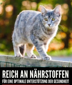 ORIJEN™ Trockenfutter für Katzen Tundra