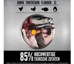 ORIJEN™ Trockenfutter für Katzen Kitten