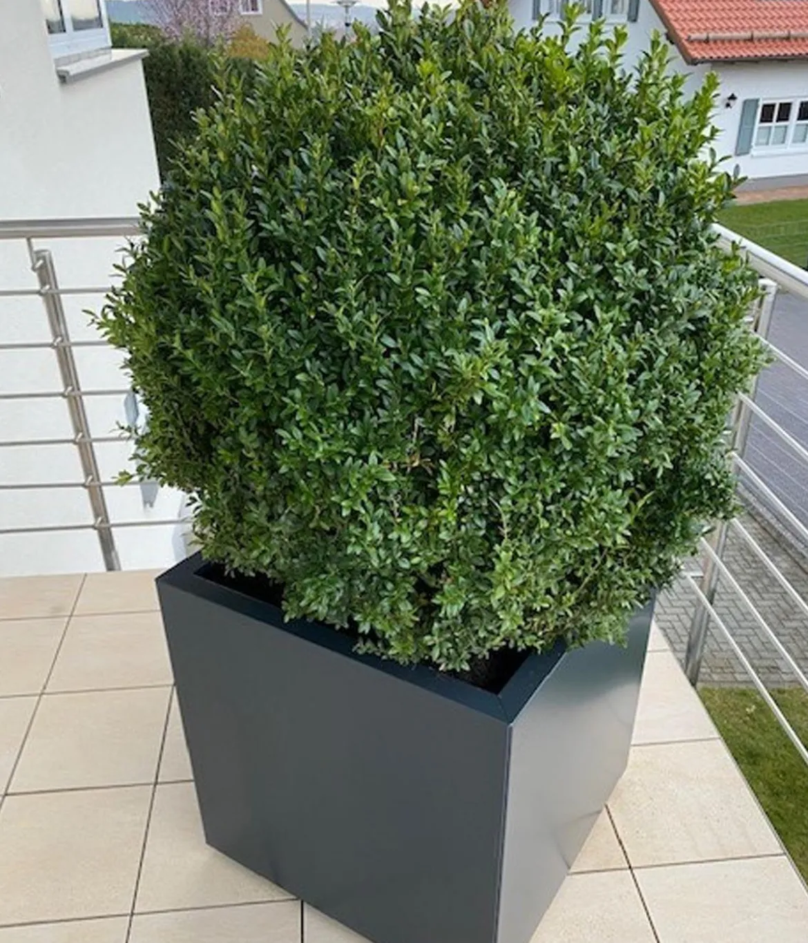 Palatino Metall-Pflanzgefäß Nora, quadratisch, anthrazit
