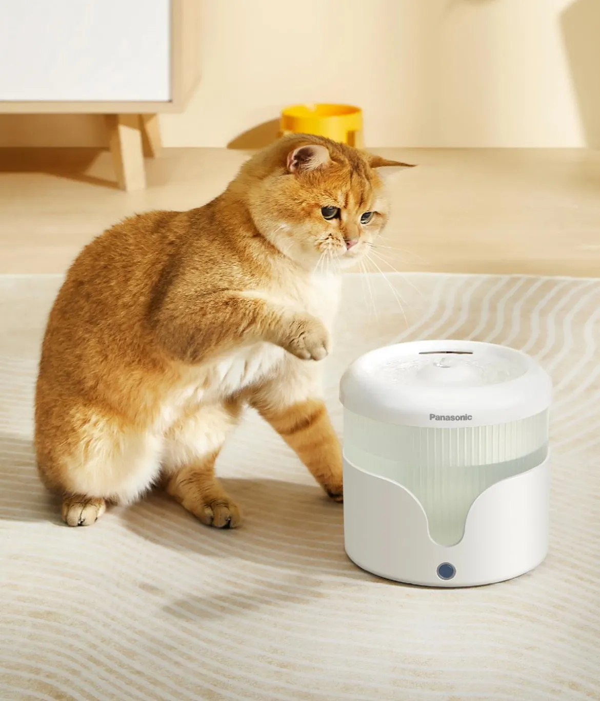 Panasonic Smart Pet Care Ersatzfilter für Trinkbrunnen, 3er-Set